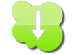 audit report